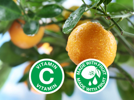 Oranges fruit with icons